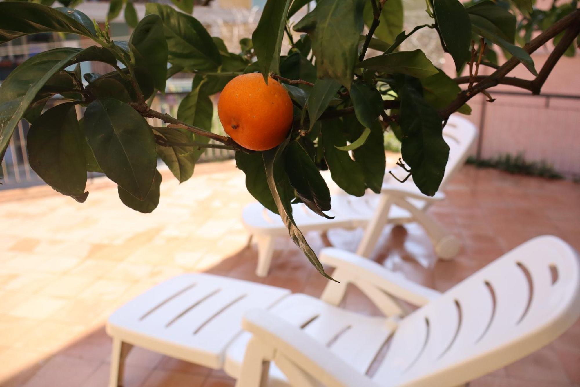Giulio'S Terraces In The Bay Apartment Porto Venere Bagian luar foto